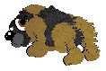 petz0.jpg