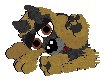 petz2.jpg