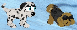 petz4.jpg